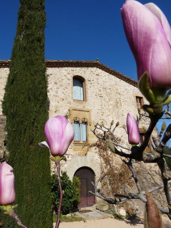 Bed & Breakfast Mas Vilosa